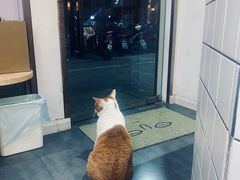 -W Coffee(船板巷店)