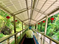 -富春桃源风景区