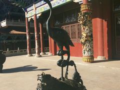 -大悲禅寺