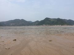 -北岐滩涂