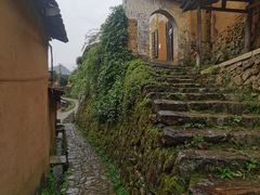 -杨家堂村