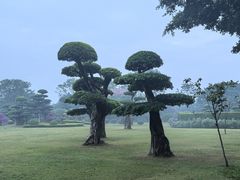 -南宁南湖公园