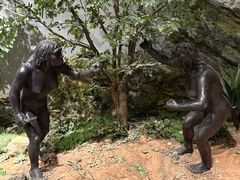 -北京周口店北京人遗址博物馆
