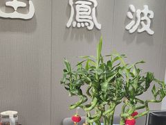 -田凤波推拿.按摩养生(幸福店)