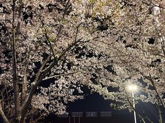 -华中科技大学光谷体育馆