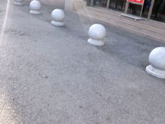 -中国人民武装警察部队特色医学中心