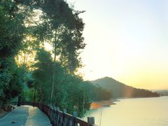 -广州市流溪河国家森林公园