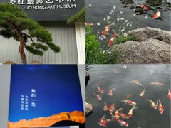 -罗红摄影艺术馆