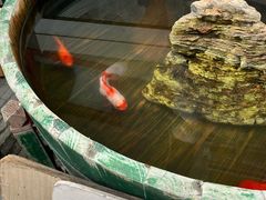-妙应寺白塔