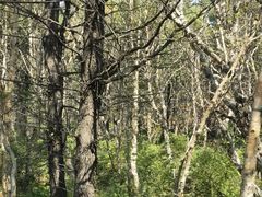 -白草畔自然风景区