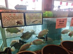 -年辉渔村·非遗传承餐厅(新丰江店)