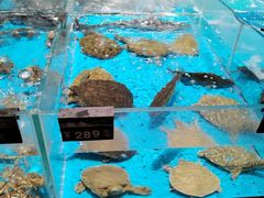 -艳阳天·非遗楚菜(武汉客厅店)