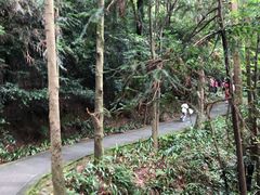 -窦圌山风景区