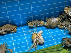 -先锋海鲜市场