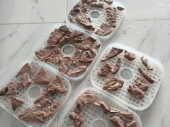 -艾贝尔宠物医院·24H转诊中心·肿瘤猫专科(江宁双龙店)