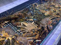 -开海·红岛海鲜虾水饺(石老人店)