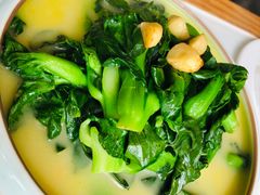 鸡汁菜苋-姜君·千岛湖鱼头馆(浦东大道店)