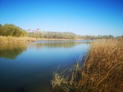 -马家湾湿地公园