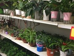-卜蜂莲花(岳阳店)