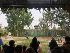-水浒好汉城