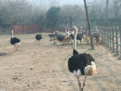 -西安秦岭野生动物园