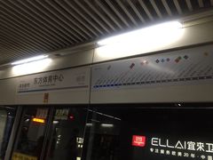 -东方体育中心(地铁站)