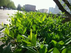 android_upload_pic-辽宁大学(崇山校区)