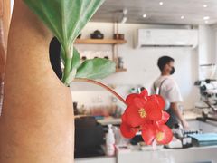 -茶是一枝花泡茶店