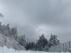 -溪口商量岗景区