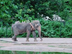 -清迈夜间动物园