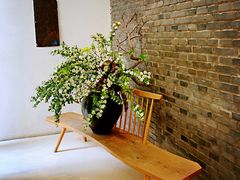 -曲廊院(东四十一条店)