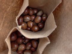 -秋栗香(地安门店)