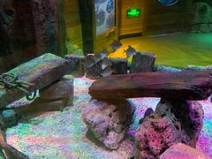 -沈阳海洋探索中心