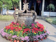 -杭州黄龙洞