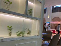 -纵横国际影城杜比全景声巨幕(天安云谷店)