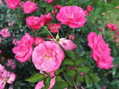 -人民公园(罗湖区)