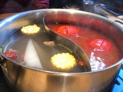 -手选潮汕鲜活牛肉火锅(二七广场店)