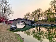 -大兴滨河森林公园