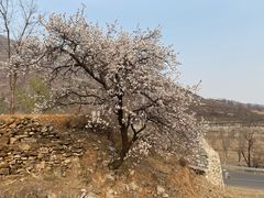 -北京上方山国家森林公园