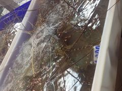 iphone_upload_pic-班赞海鲜市场