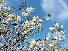 -观澜湖生态运动公社