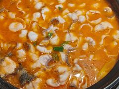 -周渝食惦酸菜鱼(青浦店)
