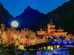 -禅宗少林·音乐大典