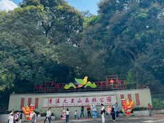 -清溪大王山森林公园
