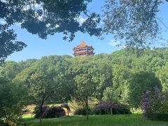 -富乐山