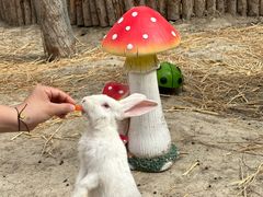 -水上乐园·欢乐世界