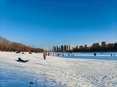 -丁香湖公园