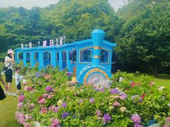 -上海滨江森林公园