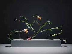 -荷兰布尔玛国际花艺学院