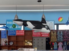 -昌平体育局室外游泳馆